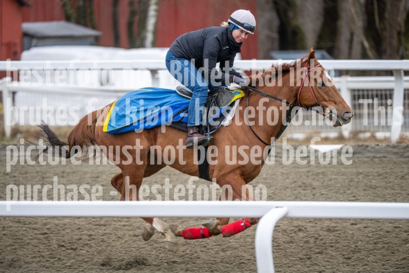 20260328-112727-DSC_7565