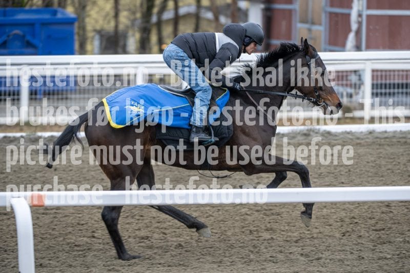 20260328-112730-DSC_7604