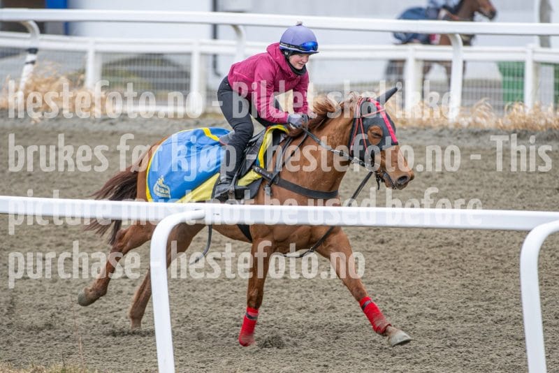 20260328-112919-DSC_7732