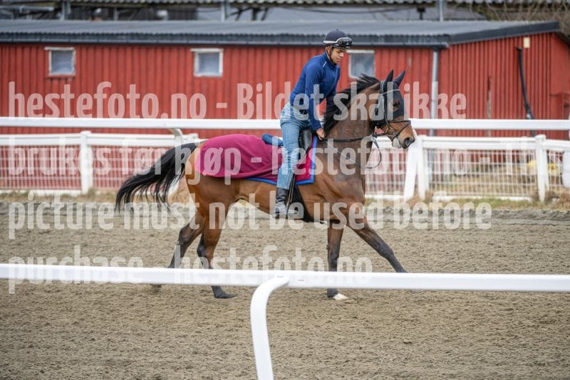 20260328-113106-DSC_7793