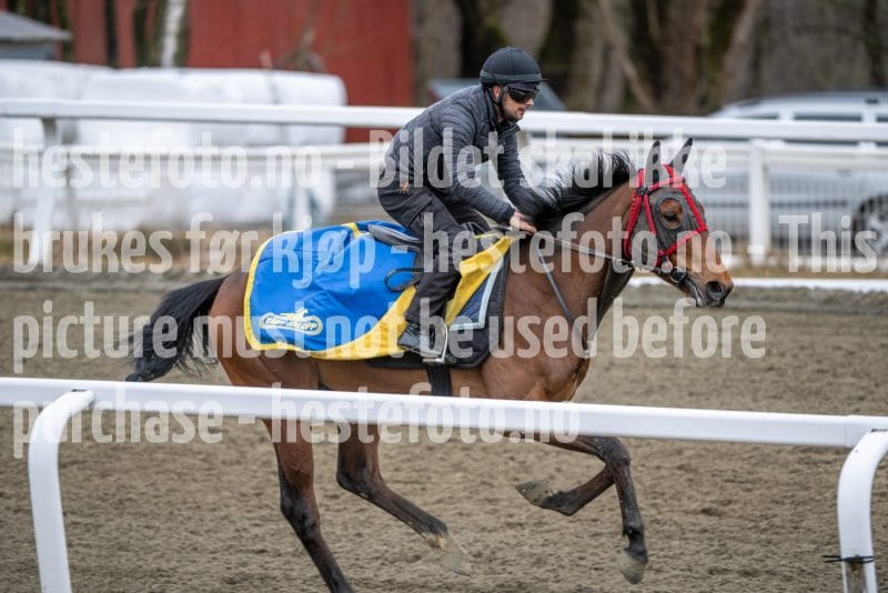 20260328-112921-DSC_7765