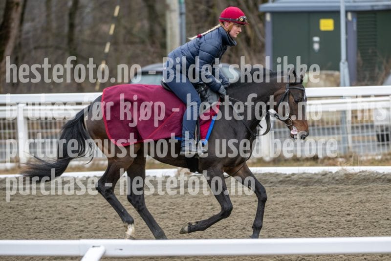 20260328-113108-DSC_7827