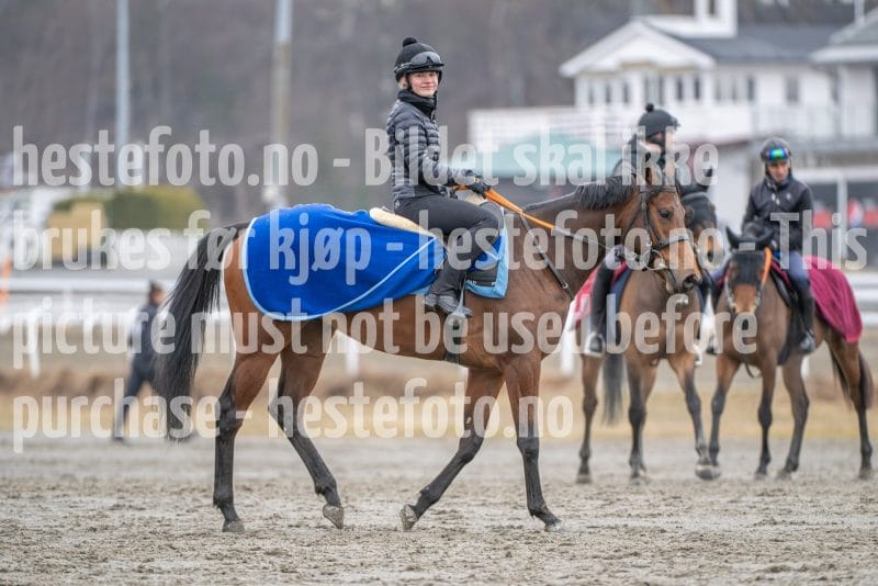 20260328-113305-DSC_7990