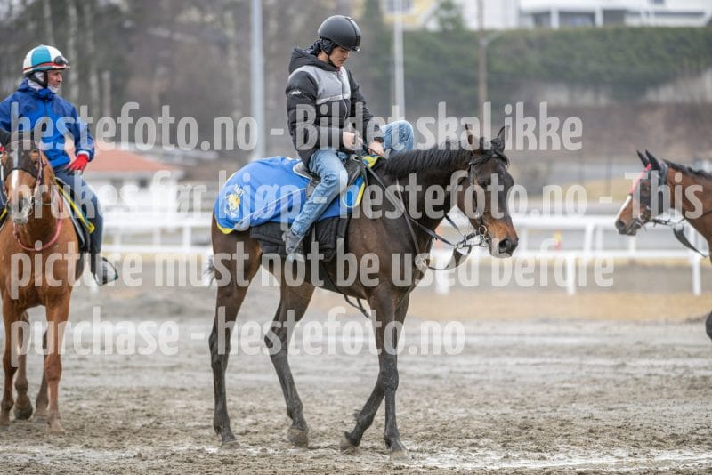 20260328-113143-DSC_7892