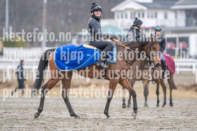 20260328-113305-DSC_7995