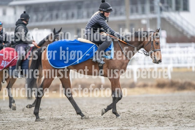 20260328-113307-DSC_8006