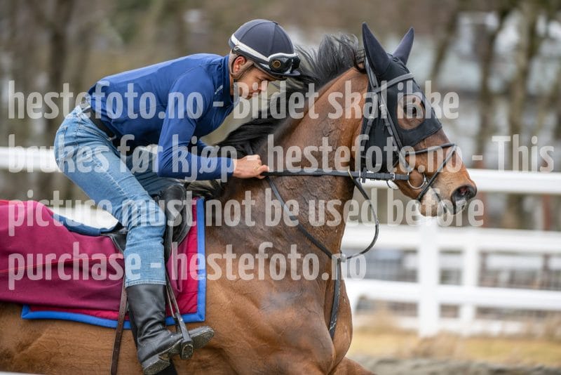 20260328-113440-DSC_8059