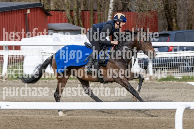 20260418-092016-DSC_4962