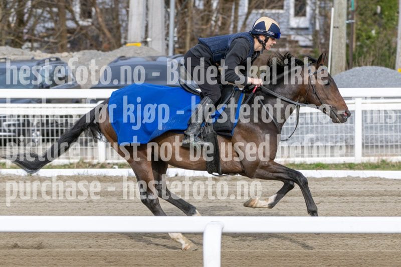 20260418-092017-DSC_4980