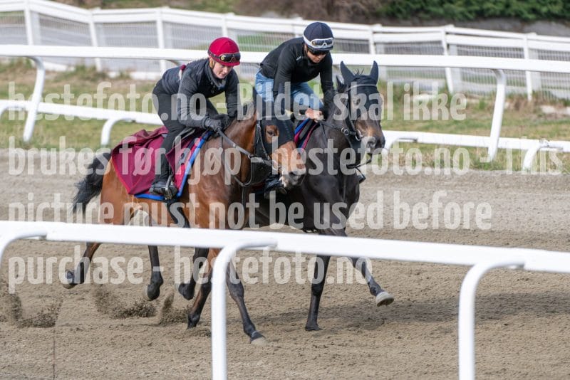 20260418-092033-DSC_5039