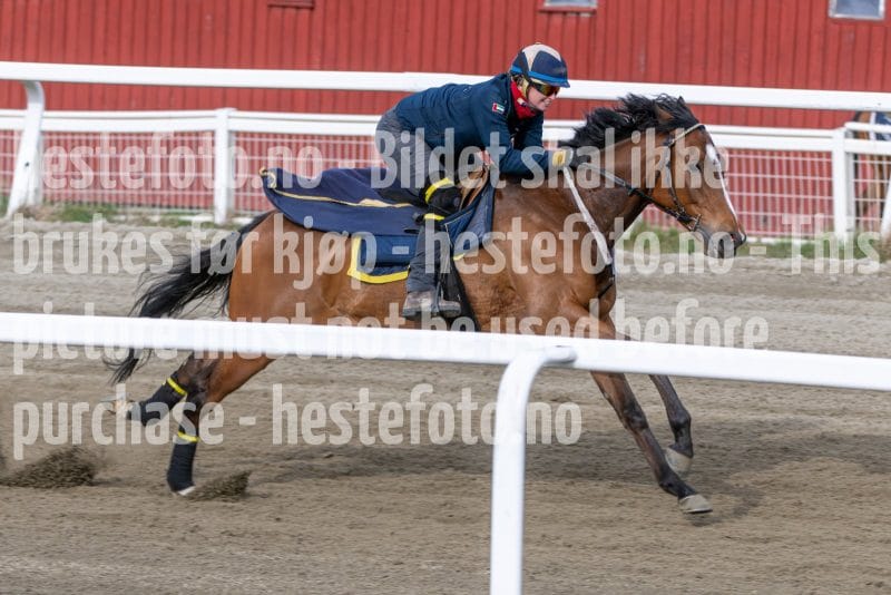 20260418-092153-DSC_5164