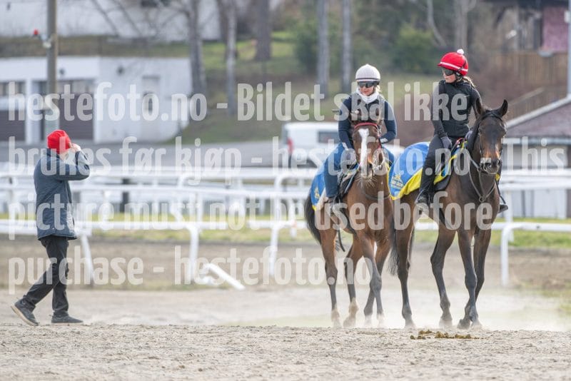 20260418-092235-DSC_5204