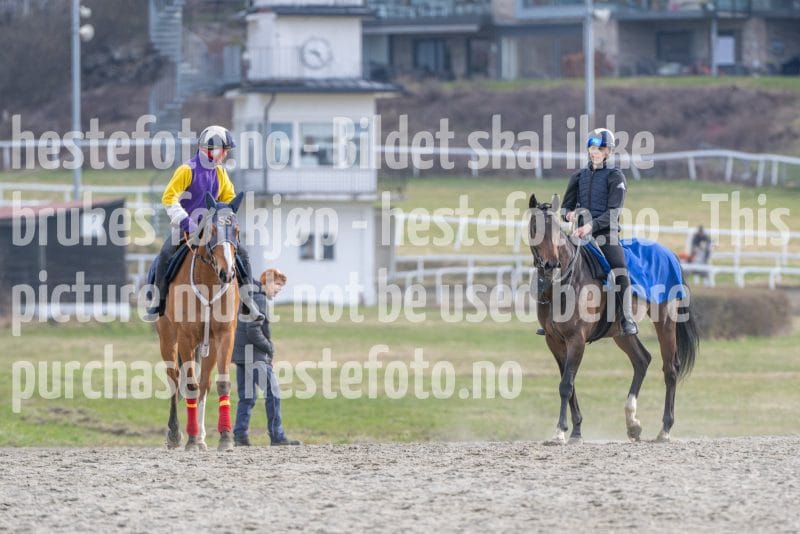 20260418-092256-DSC_5263