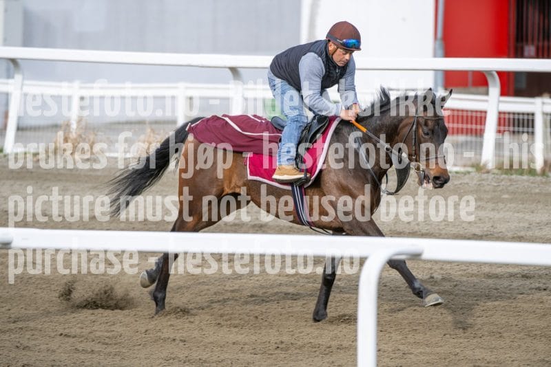 20260418-092321-DSC_5277