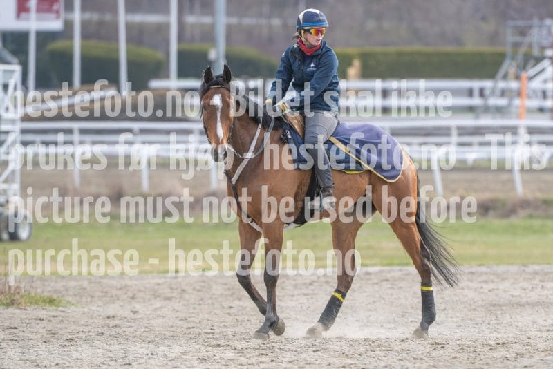 20260418-092424-DSC_5300