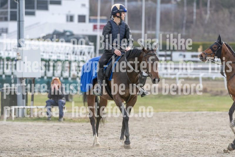 20260418-092442-DSC_5363