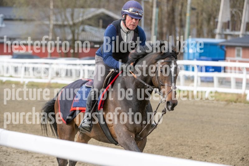 20260418-101425-DSC_5553