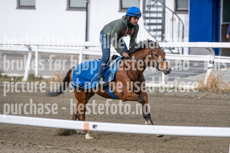 20260418-101716-DSC_5597