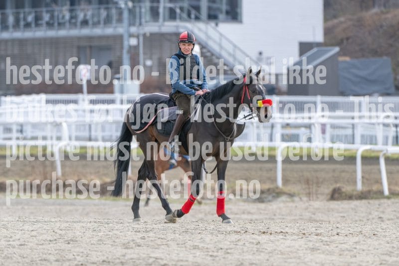 20260418-101850-DSC_5699