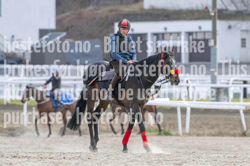 20260418-101853-DSC_5715