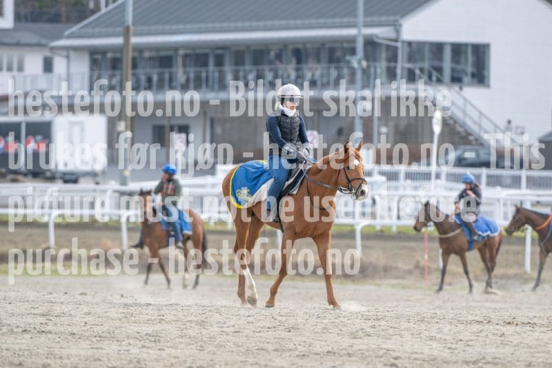 20260418-101855-DSC_5728