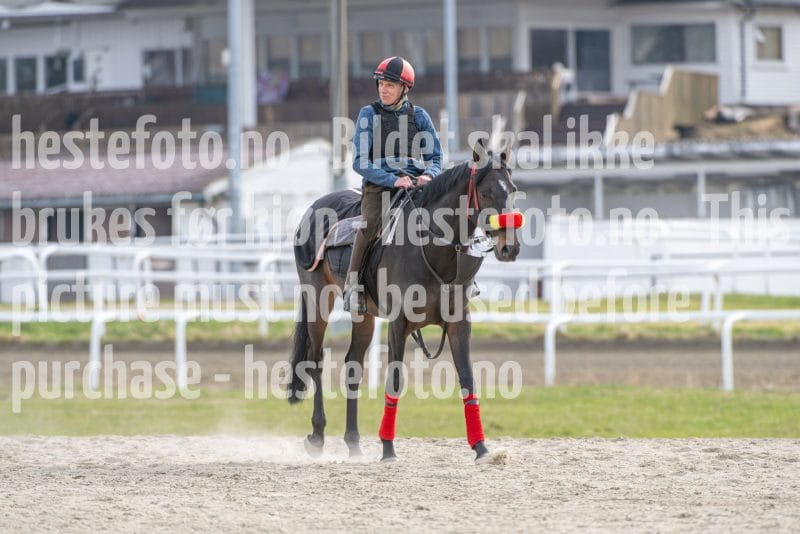 20260418-101905-DSC_5763