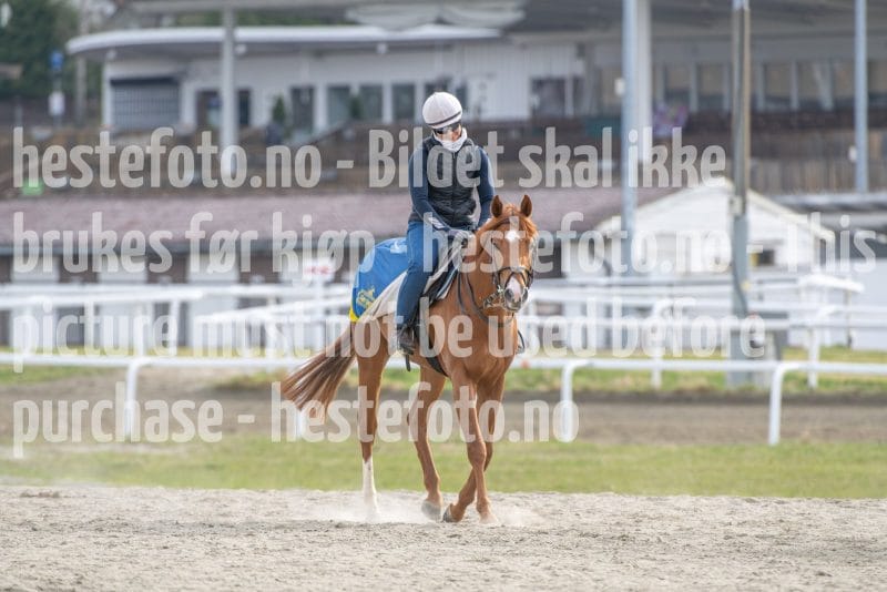 20260418-101908-DSC_5774