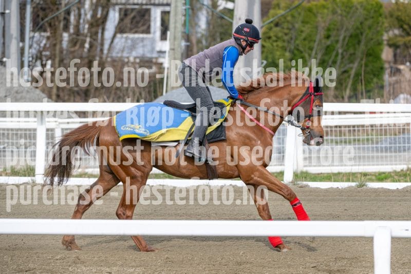 20260418-102246-DSC_5959