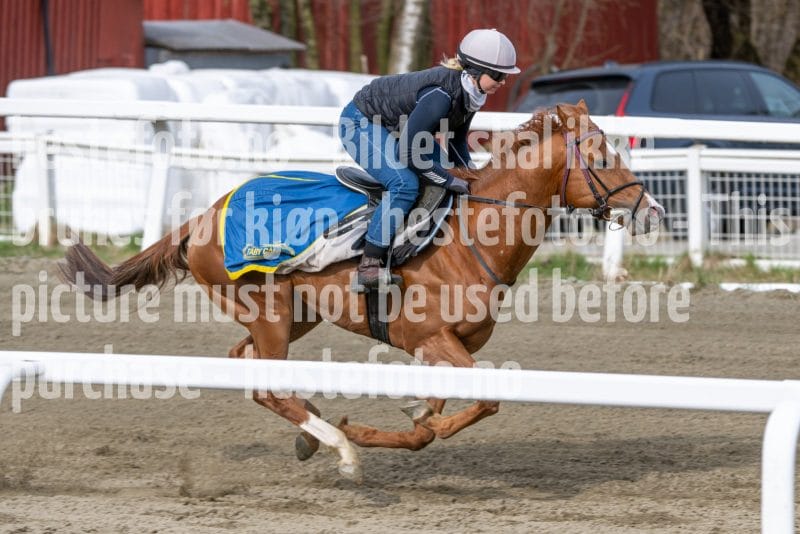 20260418-102430-DSC_6049