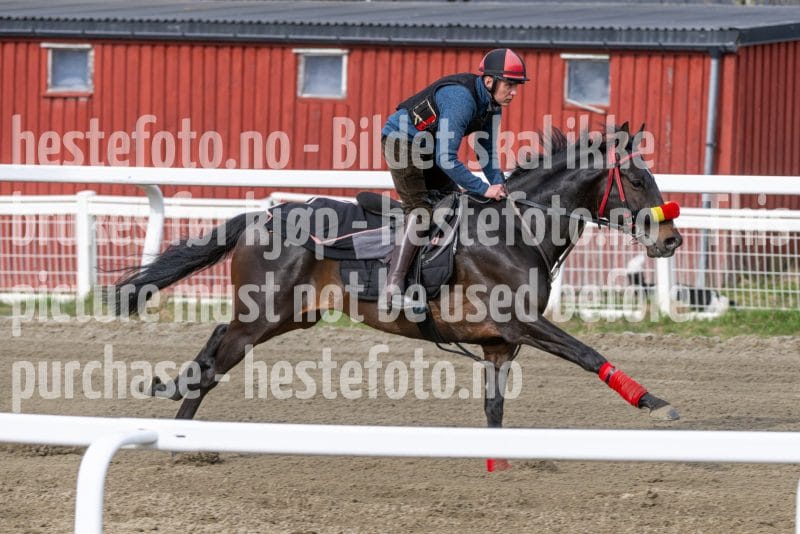 20260418-102522-DSC_6160