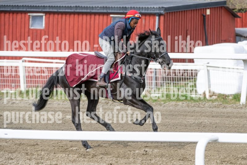 20260418-104000-DSC_6330