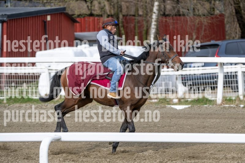 20260418-104001-DSC_6335