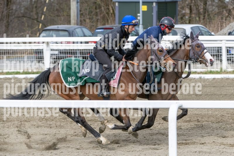 20260418-105218-DSC_6516