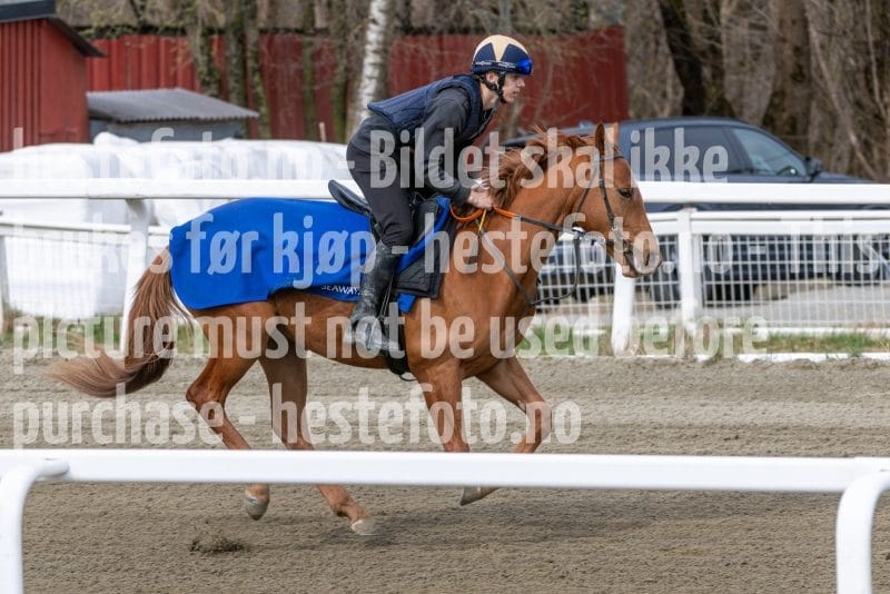 20260418-111520-DSC_6602