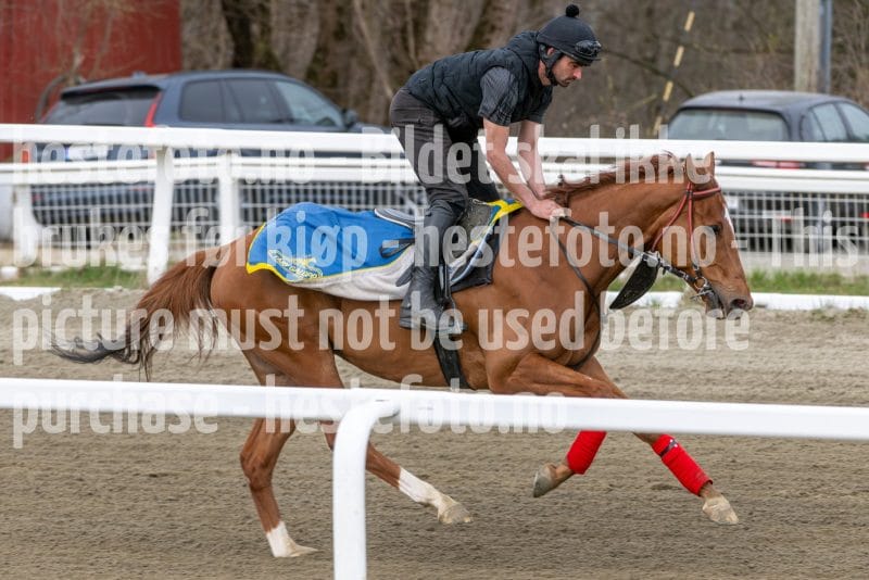 20260418-111720-DSC_6673