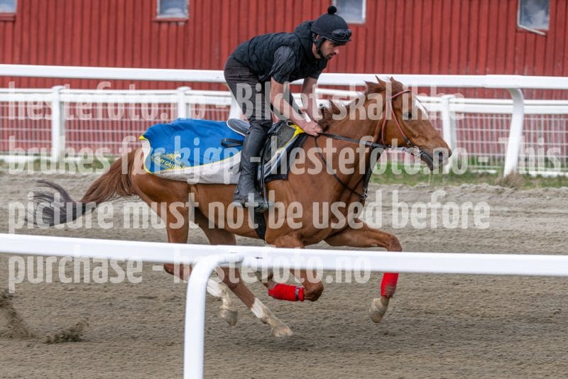 20260418-111902-DSC_6719