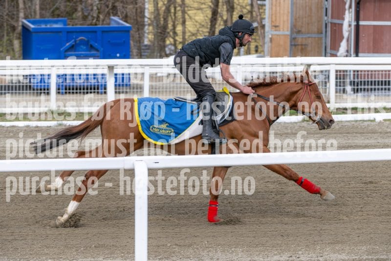 20260418-111904-DSC_6750