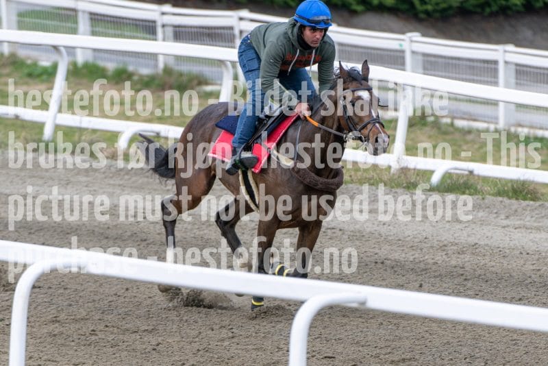 20260418-111948-DSC_6850