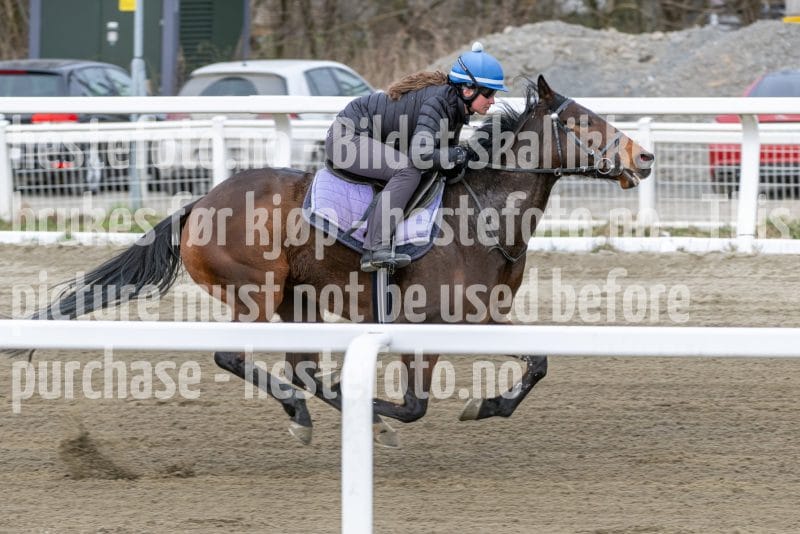 20260418-112205-DSC_7034