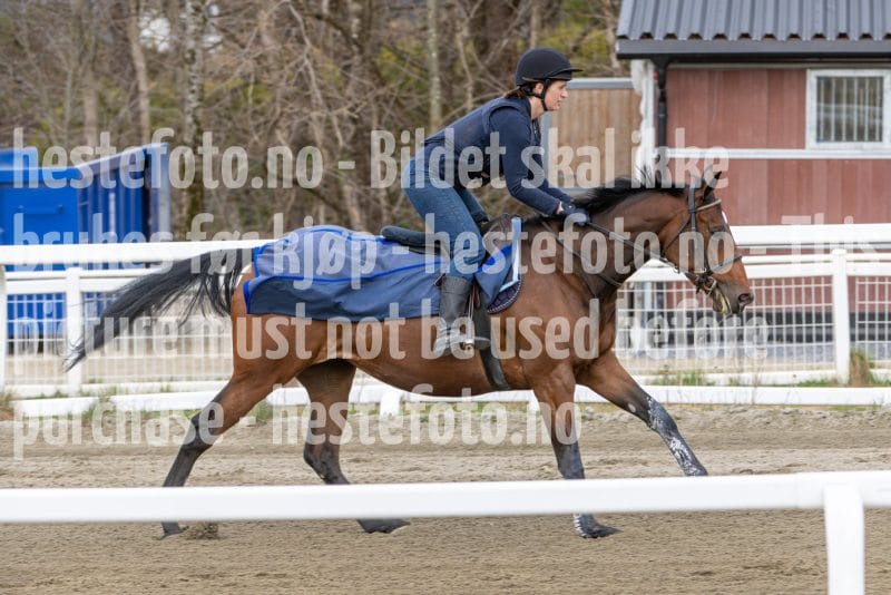 20260418-112246-DSC_7116