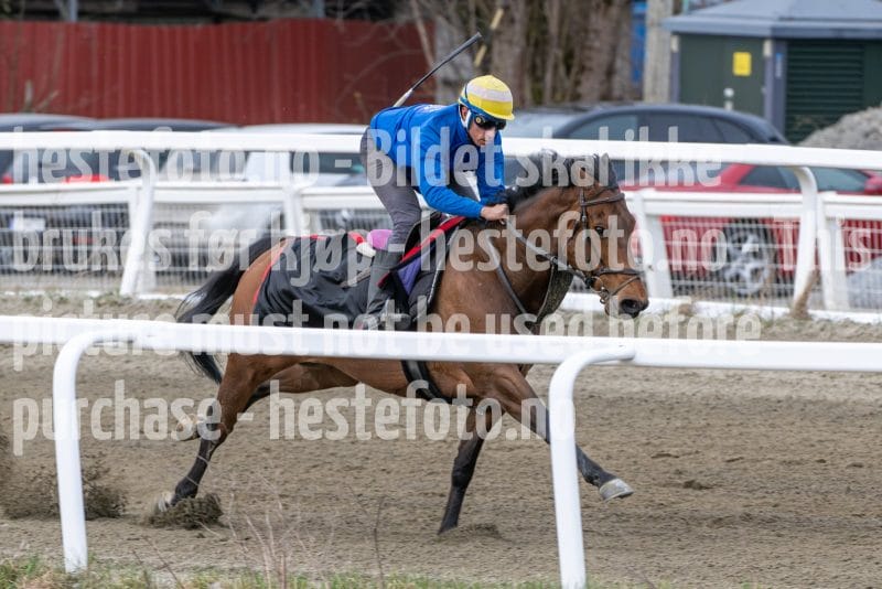 20260418-112424-DSC_7168