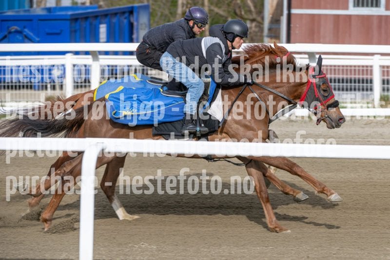 20260418-091550-DSC_4449