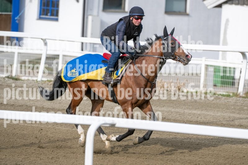 20260418-091646-DSC_4540