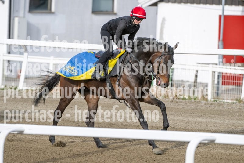 20260418-091739-DSC_4568