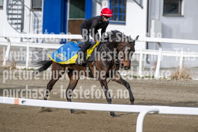 20260418-091738-DSC_4558