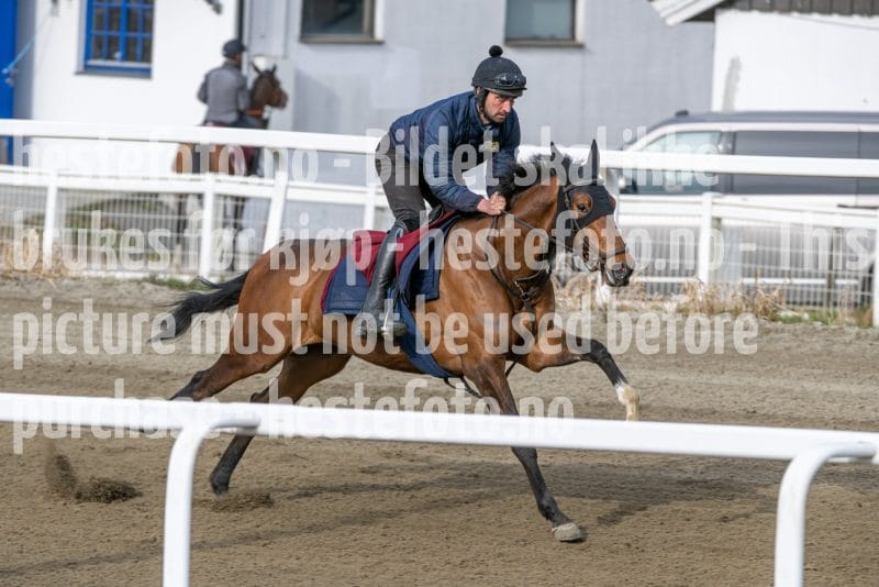 20260418-091824-DSC_4623