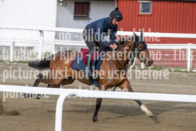 20260418-091824-DSC_4632