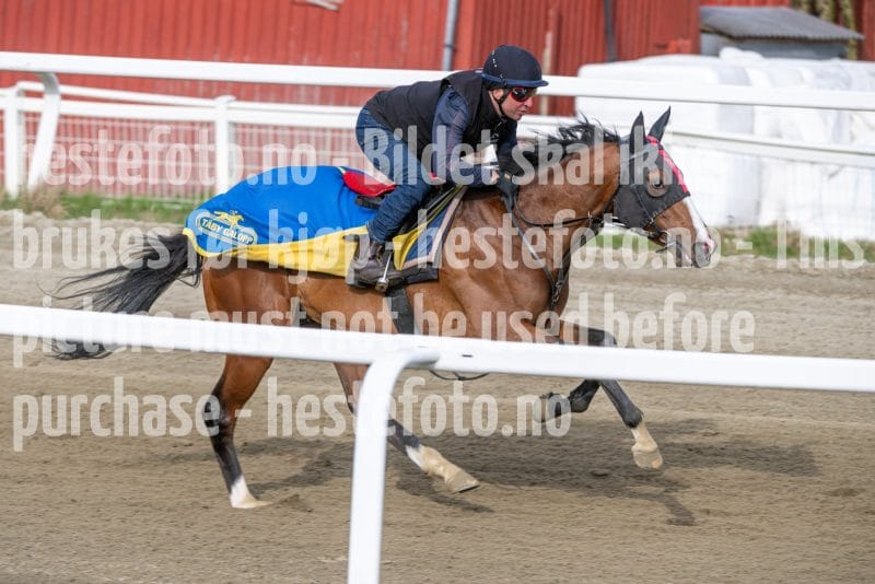 20260418-091846-DSC_4654