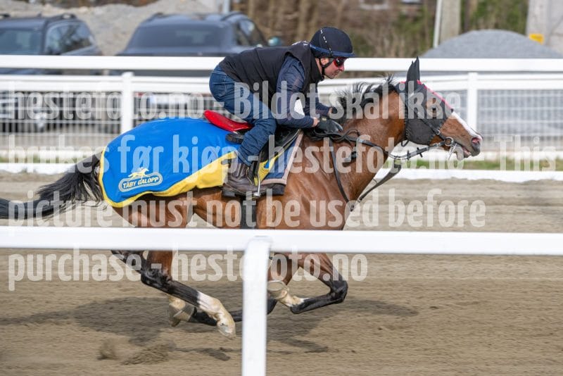 20260418-091847-DSC_4668