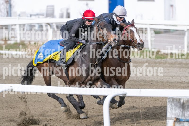 20260418-091948-DSC_4758